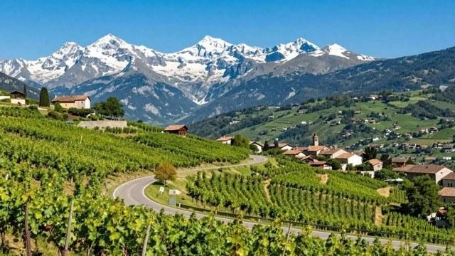 The Pyrenees landscape